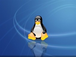Linux：基础必备命令
