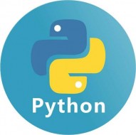 深入理解Python多进程：从基础到实战