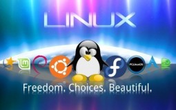 提升效率的Linux实用命令大全